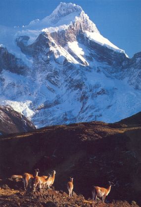 Nationalpark Torres del Paine im Süden Chiles